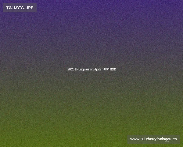 2025款Husqvarna Vitpilen 801双缸街车 2025款Husqvarna Vitpilen 801双缸街车
